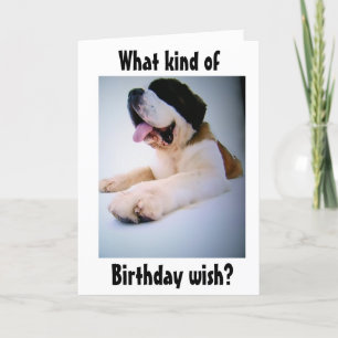 ST. BERNARD SENDS "HUGE" BIRTHDAY WISHT FEESTDAGEN KAART