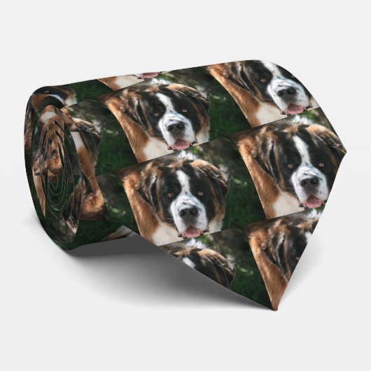 St. Bernard Stropdas (Opgerold)