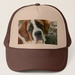 St. Bernard Trucker Pet