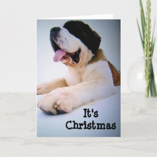 ST. BERNARD ZENDT "HUGE" CHRISTMAS WISSEN FEESTDAGEN KAART