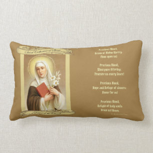 St. Catherine of Siena Doctor in de Kerk Kussen