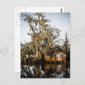 St Charles Parish Swamp Reflections Briefkaart (Voorkant / Achterkant)