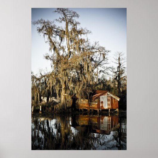 St Charles Parish Swamp Reflections Poster (Voorkant)