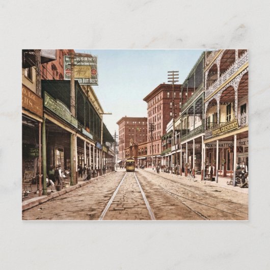 St. Charles Street New Orleans  1900 Briefkaart (Voorkant)