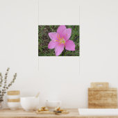 St. Croix Flower Poster (Keuken)