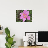 St. Croix Flower Poster (Thuiskantoor)
