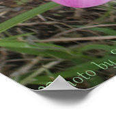 St. Croix Flower Poster (Hoek)