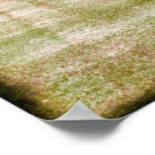 St. Croix Poster (Hoek)