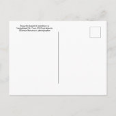 St. Croix US Maagdeneilanden Frederiksted Tropical Briefkaart (Achterkant)