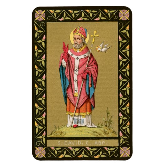 St. David of Wales (P 001) Magneet (Verticaal)