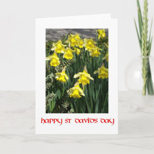 St David's Day Daffodils Wenskaart Kaart