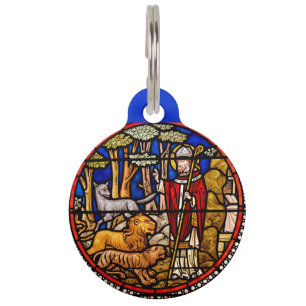 St. Francis Animal Protector Blue Huisdierpenning
