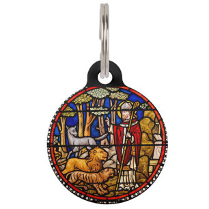 St. Francis Animal Protector Huisdierpenning