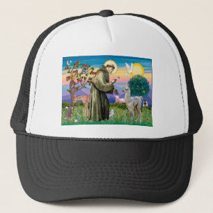 St Francis en Llama Baby Trucker Pet