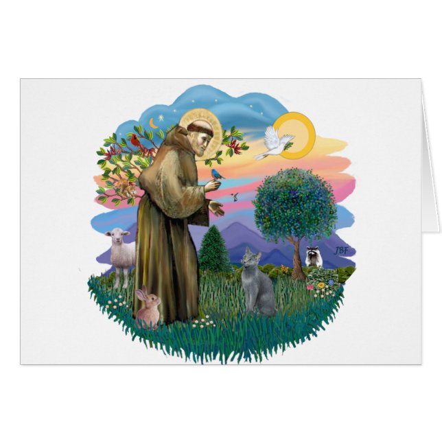 St Francis (ff) - chat bleu russe (Devant horizontal)