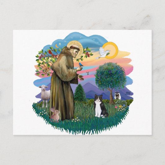 St Francis (ff) - Zwarte en witte kat Briefkaart (Voorkant)