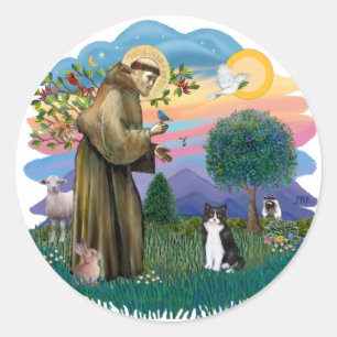 St Francis (ff) - Zwarte en witte kat Ronde Sticker