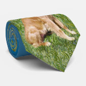 St Francis - Golden Retriever Stropdas (Opgerold)