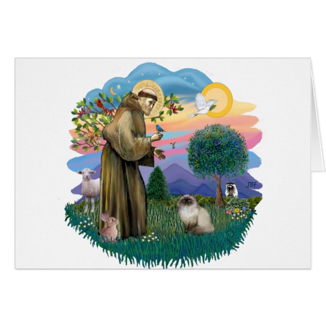 St Francis (m) - Chat himalayen à pointes noires (Devant horizontal)