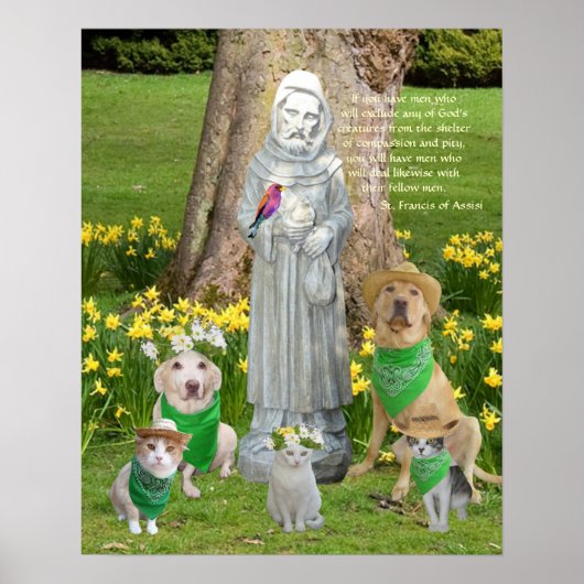 St. Francis Quotation Poster (Voorkant)