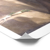 St. Francis van Assisi in Prayer Poster (Hoek)