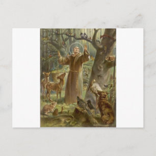 St. Francis van Assisi Omringd door dieren Briefkaart