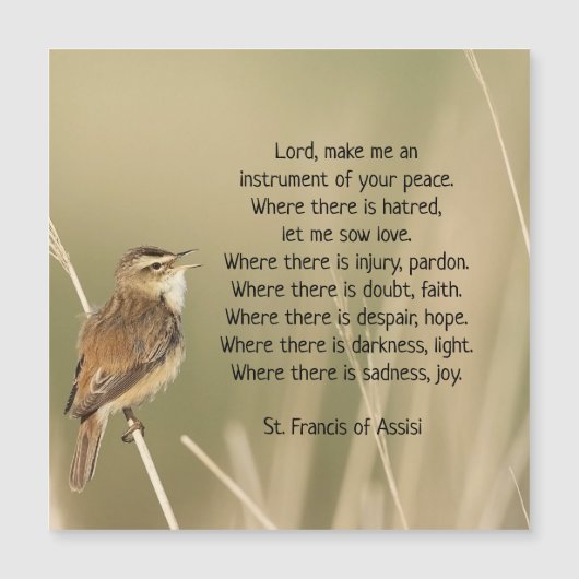St. Francis van Assisi Prayer Bird Inspirerend (Voorkant)
