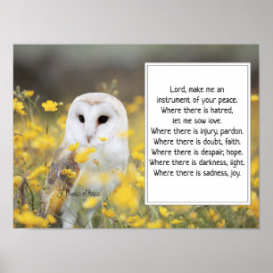 St. Francis van Assisi Prayer met Barn Owl Poster