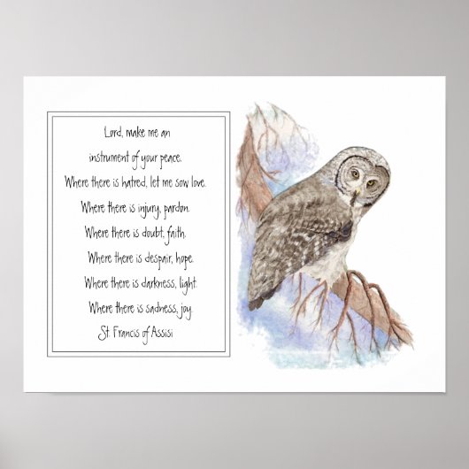 St. Francis van Assisi Prayer met Owl Bird Poster (Voorkant)