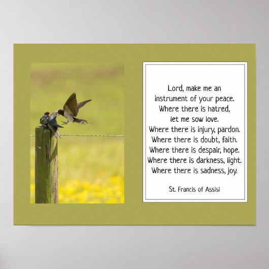 St. Francis van Assisi Prayer met vogelfamilie Poster (Voorkant)