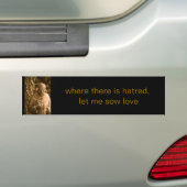 St. Franciscus bumpersticker (Op auto)