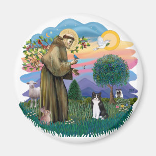 St. Franciscus (ff) - Zwart-witte kat Magneet