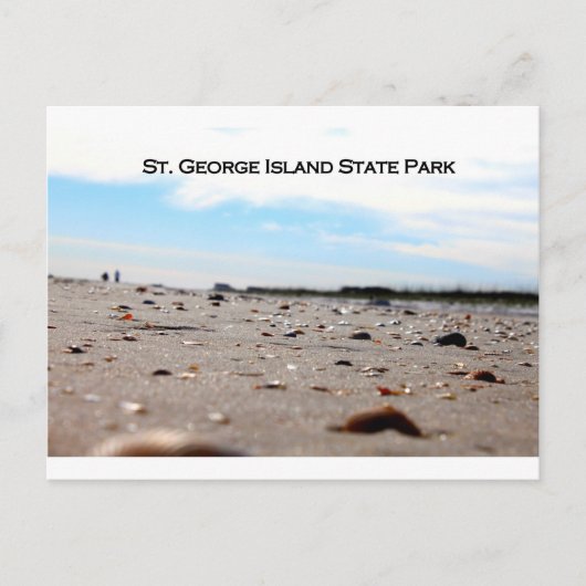 ST. GEORGE ISLAND STATE PARK - FLORIDA BRIEFKAART (Voorkant)