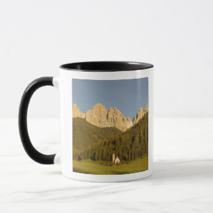 St Giovanni, Val di Funes, Dolomieten, Italië Mok