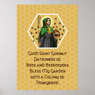 St. Gobnait van Ballyvourney (SAE 003) Poster