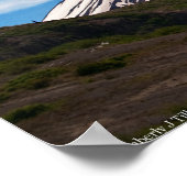 St. Helens Poster (Hoek)