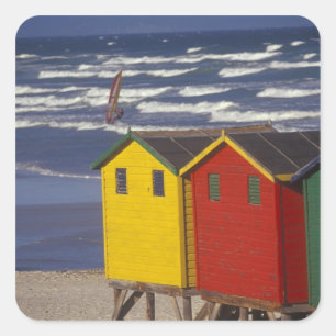 St. James Bay-badkratten, nabij Kaapstad, 3 Vierkante Sticker