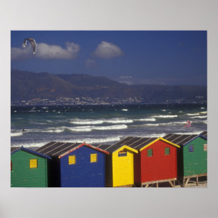 St. James Bay-badkratten, nabij Kaapstad, Poster