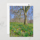 St James's Park London UK Carte postale (Devant / Derrière)