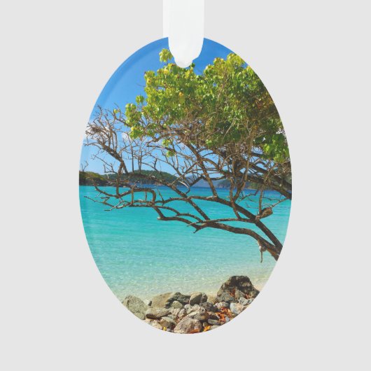 St. John Cinnamon Bay Beach Oval Ornament (devant)