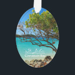 St. John Cinnamon Bay Beach Oval Ornament<br><div class="desc">Belle île St John, ornement ovale de Cinnamon Bay Beach ! Ce joli ornement tropical à double face offre une vue imprenable sur la plage populaire de St. John USVI Cinnamon Bay! Ce ornement prend aussi des formes différentes ! C'est un merveilleux ajout à votre collection de décorations, et un...</div>