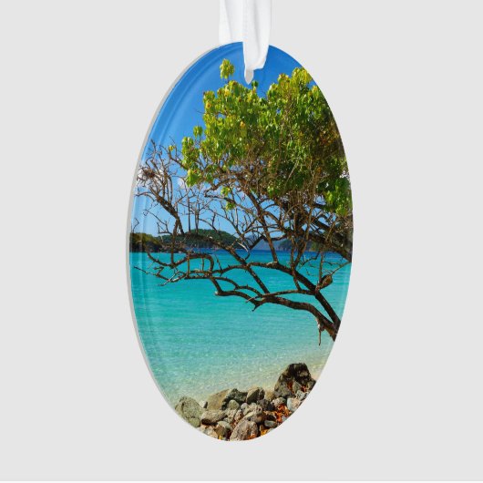 St. John Cinnamon Bay Beach Oval Ornament (devant)
