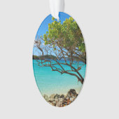 St. John Cinnamon Bay Beach Oval Ornament (devant)