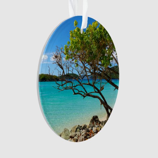 St. John Cinnamon Bay Beach Round Ornament (devant)