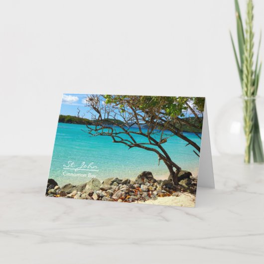 St. John Cinnamon Bay Blank Note Card Kaart (Voorkant)