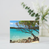 St. John USVI Cinnamon Bay Beach Briefkaart (Staand voorkant)