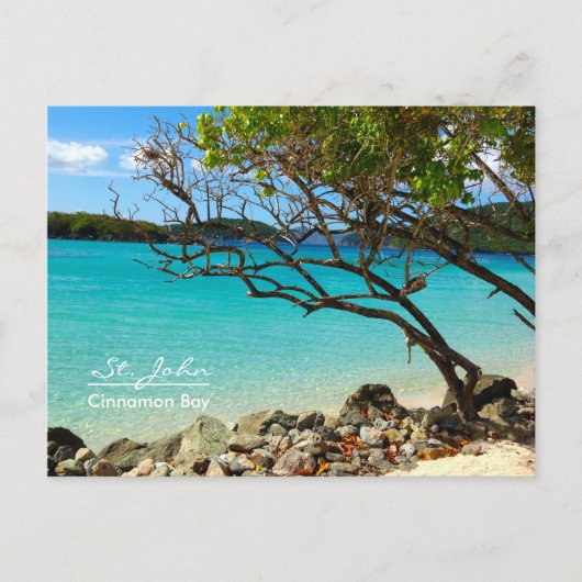 St. John USVI Cinnamon Bay Beach Briefkaart (Voorkant)