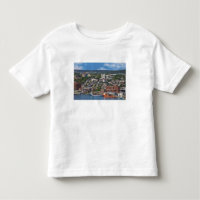 St. John's, Newfoundland, Canada, de kustlijn