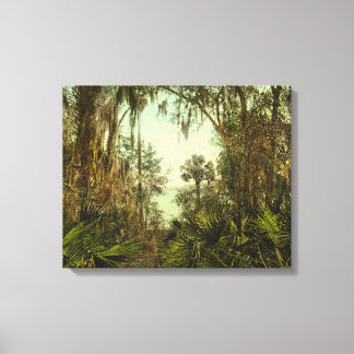 St. Johns River Florida 1898 Foto Canvas Afdruk
