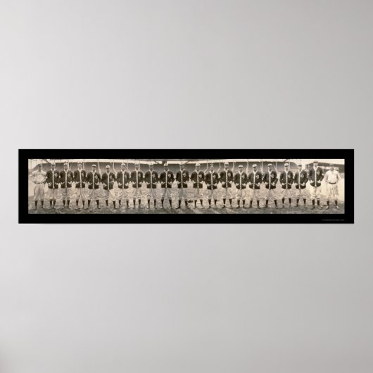 St. Louis Browns Team Foto 1909 Poster (Voorkant)